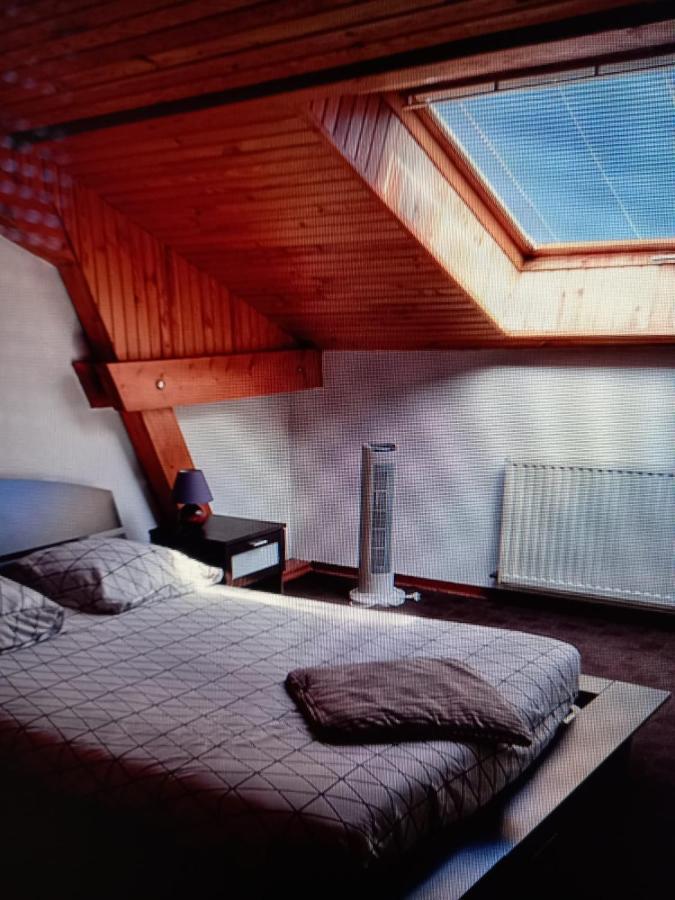 Les Appartements Du Lion De แบลฟอร์ ภายนอก รูปภาพ